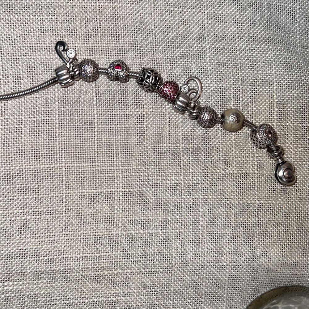 Pandora with nice charms only $125